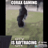 Corax Corax Gaming GIF - Corax Corax Gaming Gaming Is GIFs