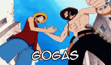 gogas dupla ace luffy duos