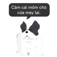 a black and white dog with a speech bubble that says cam cai mom cho
