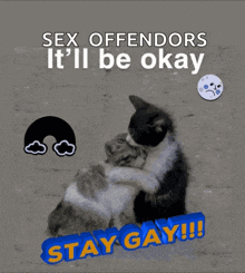 a picture of two cats hugging with the words sex offenders it 'll be okay