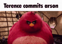 Arson Terence GIF - Arson Terence Angry Birds Movie GIFs