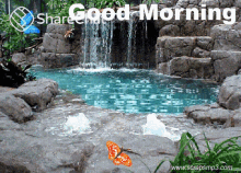 Good Morning Morning GIF - Good Morning Morning Falls GIFs