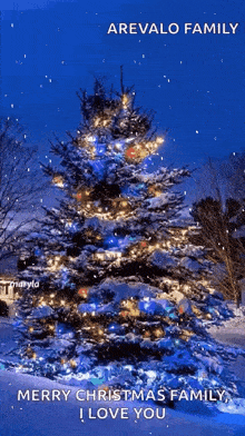 Snow Christmas Tree GIF - Snow Christmas Tree Christmas GIFs