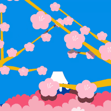 fuji blossoms