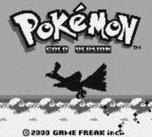 a black and white image of a pokemon game with a bird flying in the sky .