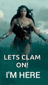 a woman in a wonder woman costume is holding a shield .