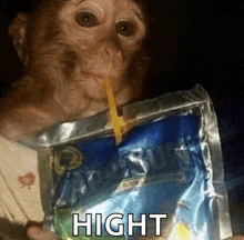 a monkey is drinking from a bag with a straw and the word hight is below it