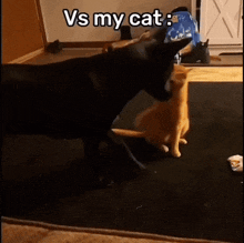 a dog and a cat are playing with each other in a living room with a caption that says vs my cat .