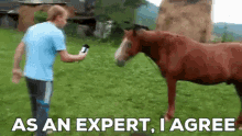 Horse As An Expert I Agree GIF - Horse As An Expert I Agree I Agree GIFs