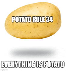 Rule 34 Potato GIF - Rule 34 Potato Potato Rule 34 GIFs
