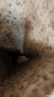 a live leak video shows a bus driving down f2 gun st