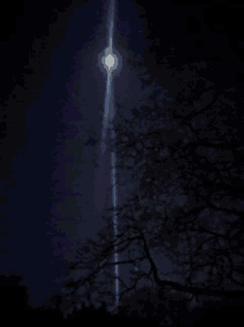 a lightning bolt is visible in the night sky above trees