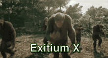 a group of monkeys are walking in a field with the words exitium x written on the bottom