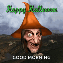 happy halloween witch spiders 3d