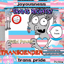 a cartoon of a girl holding a heart with the words trans rights written on it