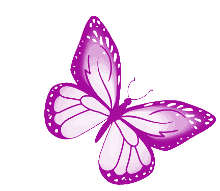 purple butterfly picture