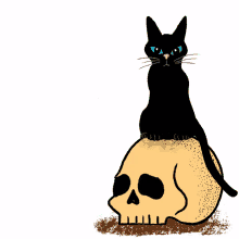 dont furget to vote early black cat skull vote early go vote early