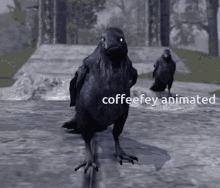 Coffeefey Animated GIF - Coffeefey Animated Crow GIFs