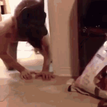Cat Scare GIF - Cat Scare Dog GIFs