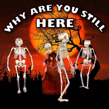 Why Are You Still Here Skeletons GIF