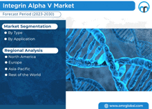 Integrin Alpha V Market GIF - Integrin Alpha V Market GIFs