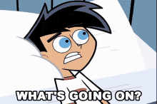 Whats Going On Danny Fenton GIF - Whats Going On Danny Fenton Danny Phantom S1e1 GIFs