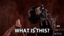 What Is This D Structs GIF - What Is This D Structs Dinotrux GIFs