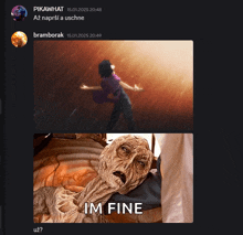 a screenshot of a conversation between pikawhat and bramborak with a picture of im fine