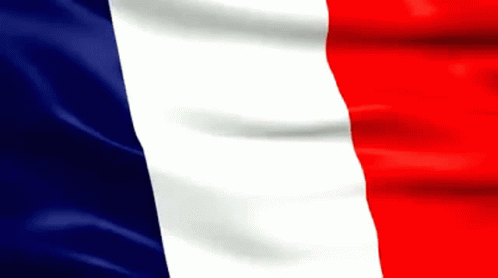french flag animation