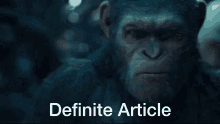 Definite Article Caesar GIF - Definite Article Caesar Definite Article Monkey GIFs