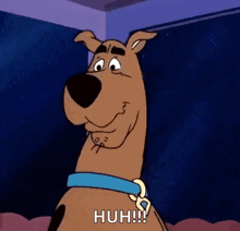 Shook Scooby GIF - Shook Scooby Doo GIFs