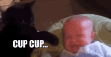 jangan nangis cup cup kucing bayi anak kecil