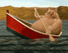 Boating GIF - Boating Canoeing Cat GIFs