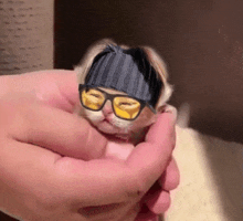a kitten wearing glasses and a headband is being held by a person