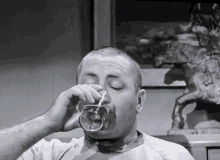 Three Stooges GIF - Three Stooges Curly GIFs