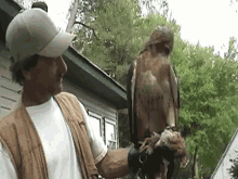 What Does The Hawk Say? GIF - Falcon Girl She Said What GIFs