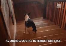 Avoiding Social Interaction Like Antisocial GIF - Avoiding Social Interaction Like Antisocial Introvert GIFs