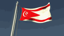 Palestine Flag Redesign GIF - Palestine Flag Redesign 2022 GIFs