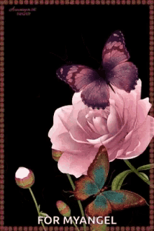 rose butterfly sparkle buds rose buds