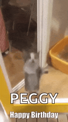a cat is standing in front of a door with the words `` peggy happy birthday '' on it .