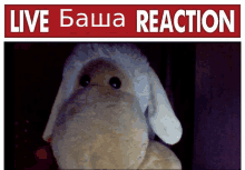 Live Bawa Reaction2 GIF