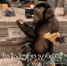ხაჭაპური მაიმუნი GIF - ხაჭაპური მაიმუნი მშიერი GIFs