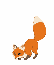 fox bounce