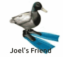 Joel Joelsfreind GIF - Joel Joelsfreind GIFs