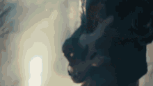 a close up of a person 's face with the sun behind them