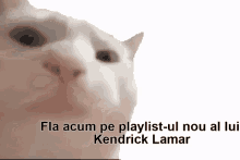 Fla Pe Kendrick Flappy GIF - Fla Pe Kendrick Flappy GIFs