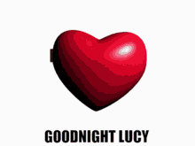 Goodnight Lucy Mishima Yuuki GIF