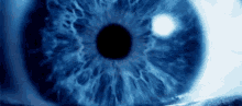 eye pupil dialate blue