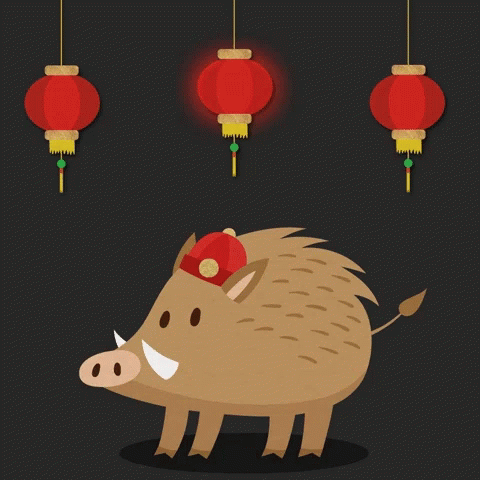 Year Of The Pig Lunar New Year GIF - Year Of The Pig Lunar New Year Chinese New Year GIFs