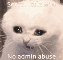Idiot Server Rule GIF - Idiot Server Rule 14 GIFs
